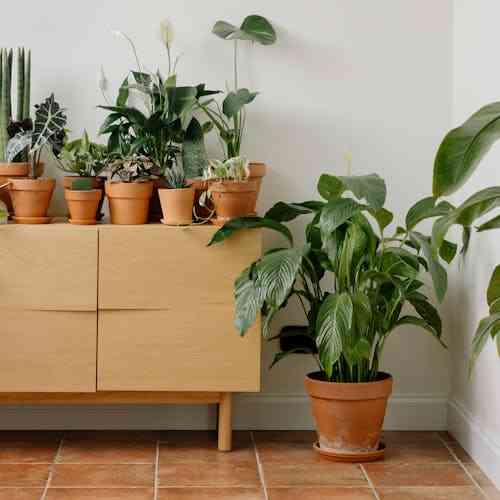 Feng Shui για θετική ενέργεια και τύχη στο σπίτι σου! 
